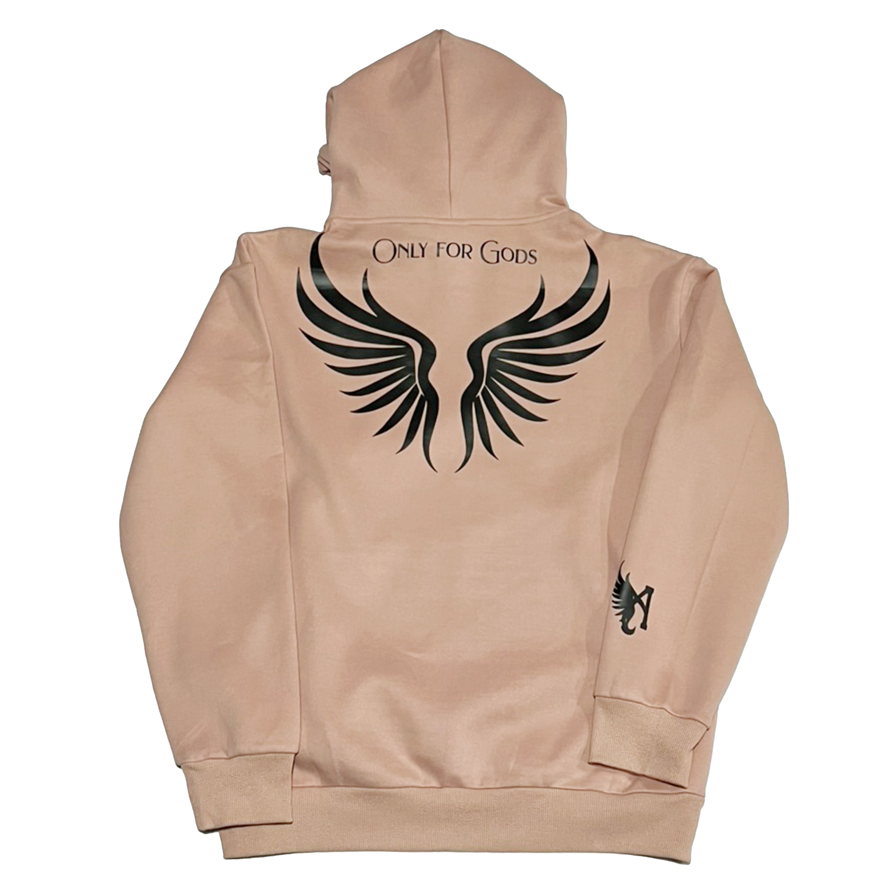 Ascension Fall Hoodie
