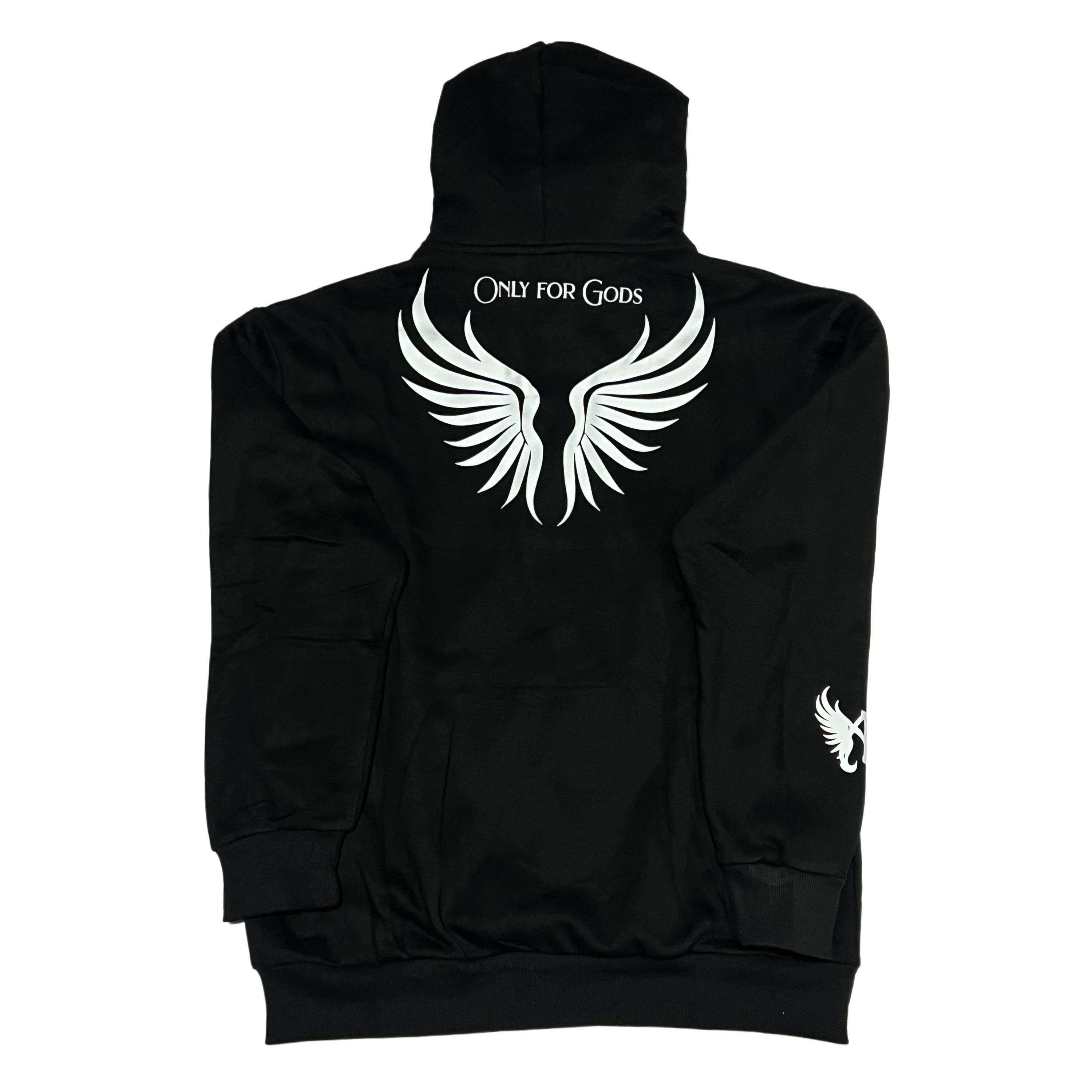 Ascension Fall Hoodie