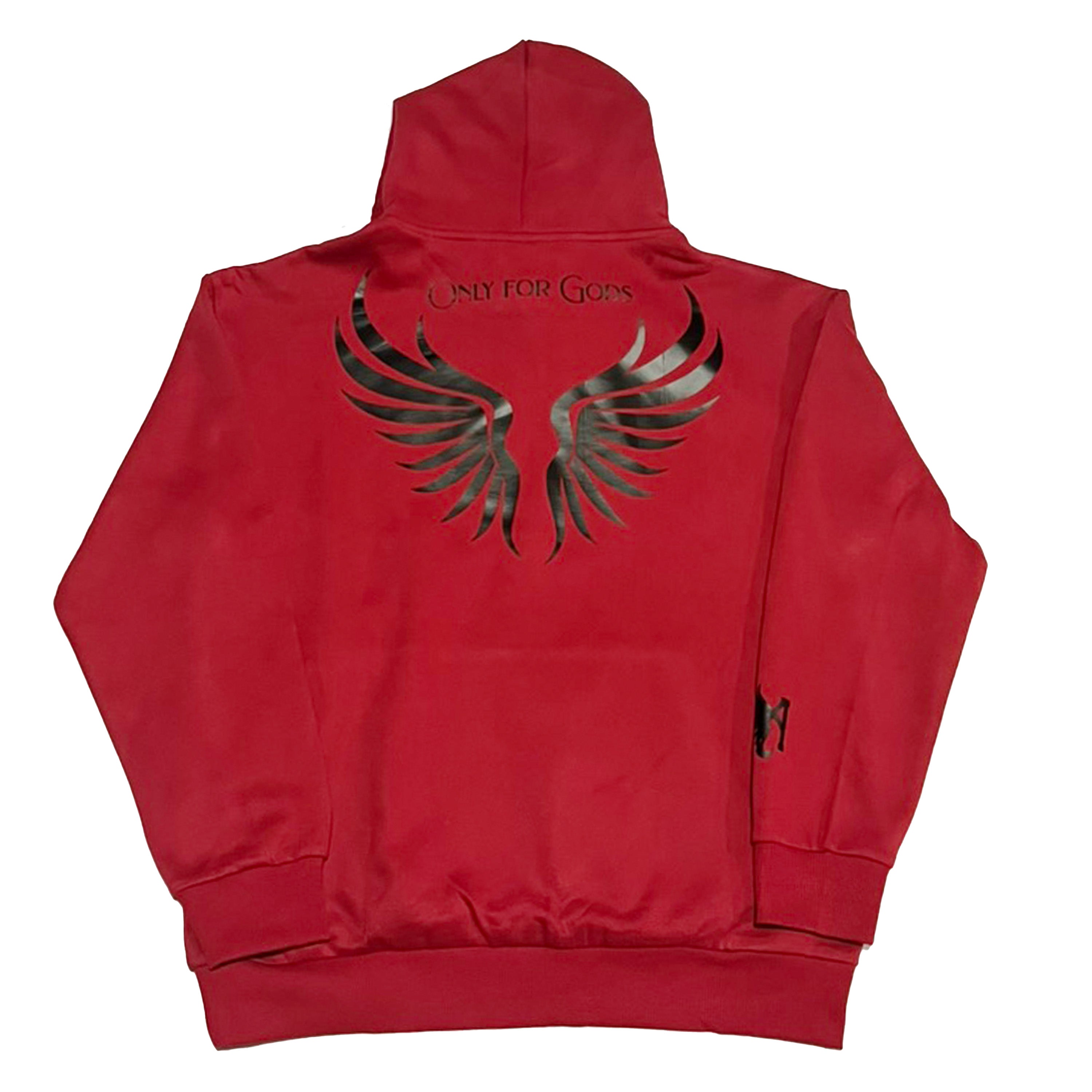 Ascension Fall Hoodie