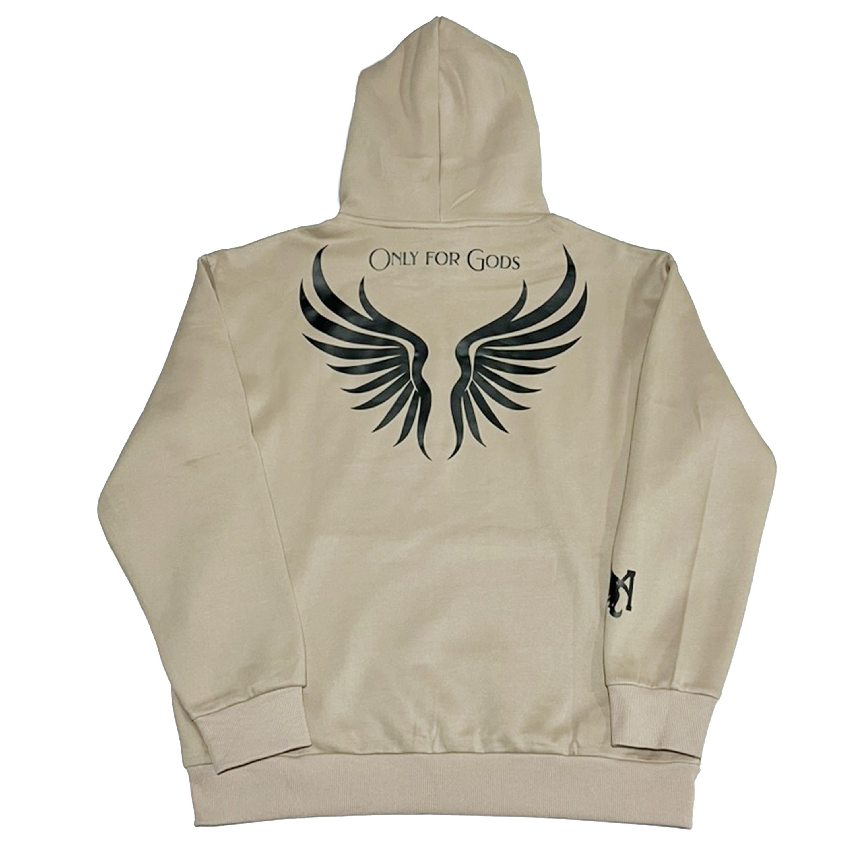 Ascension Fall Hoodie