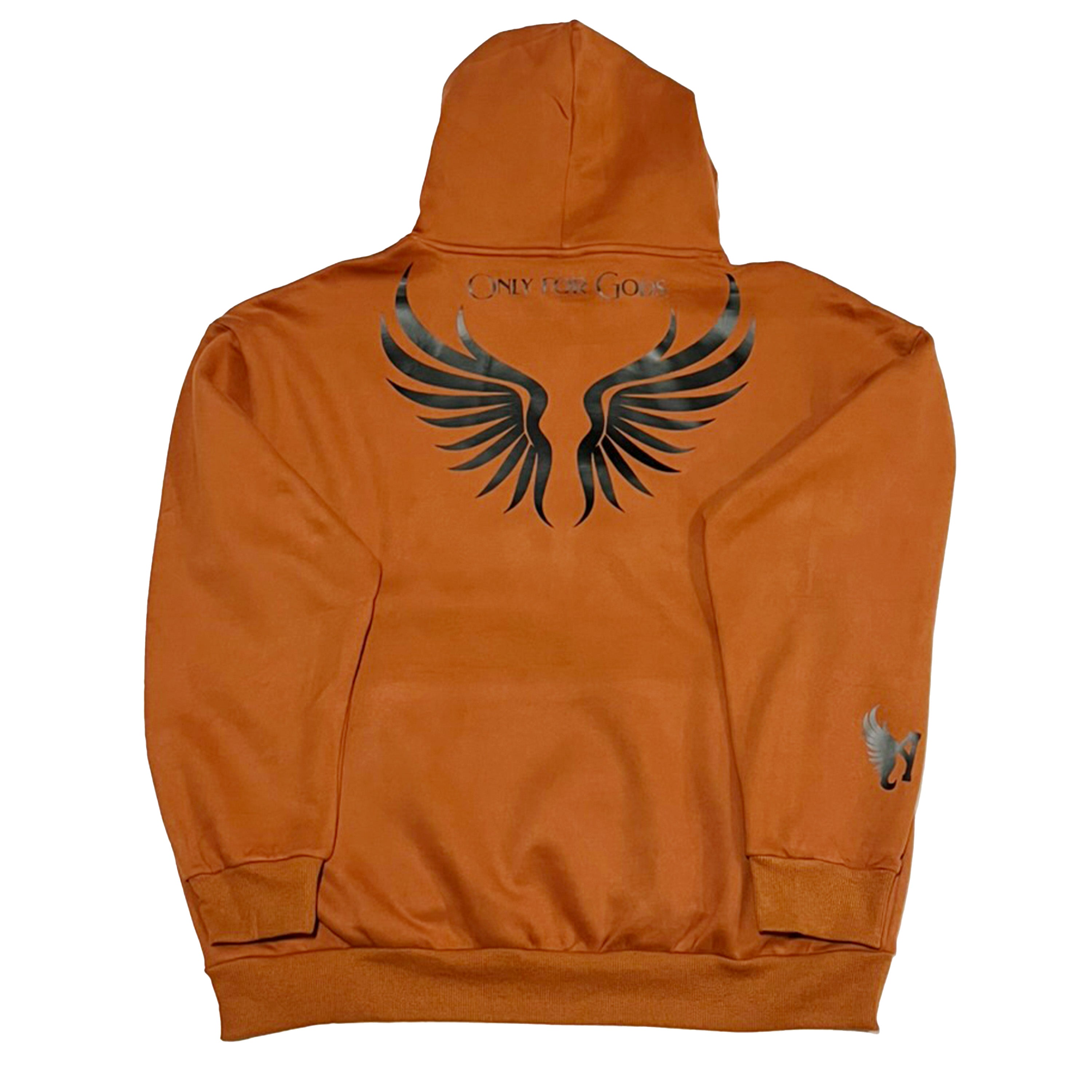 Ascension Fall Hoodie